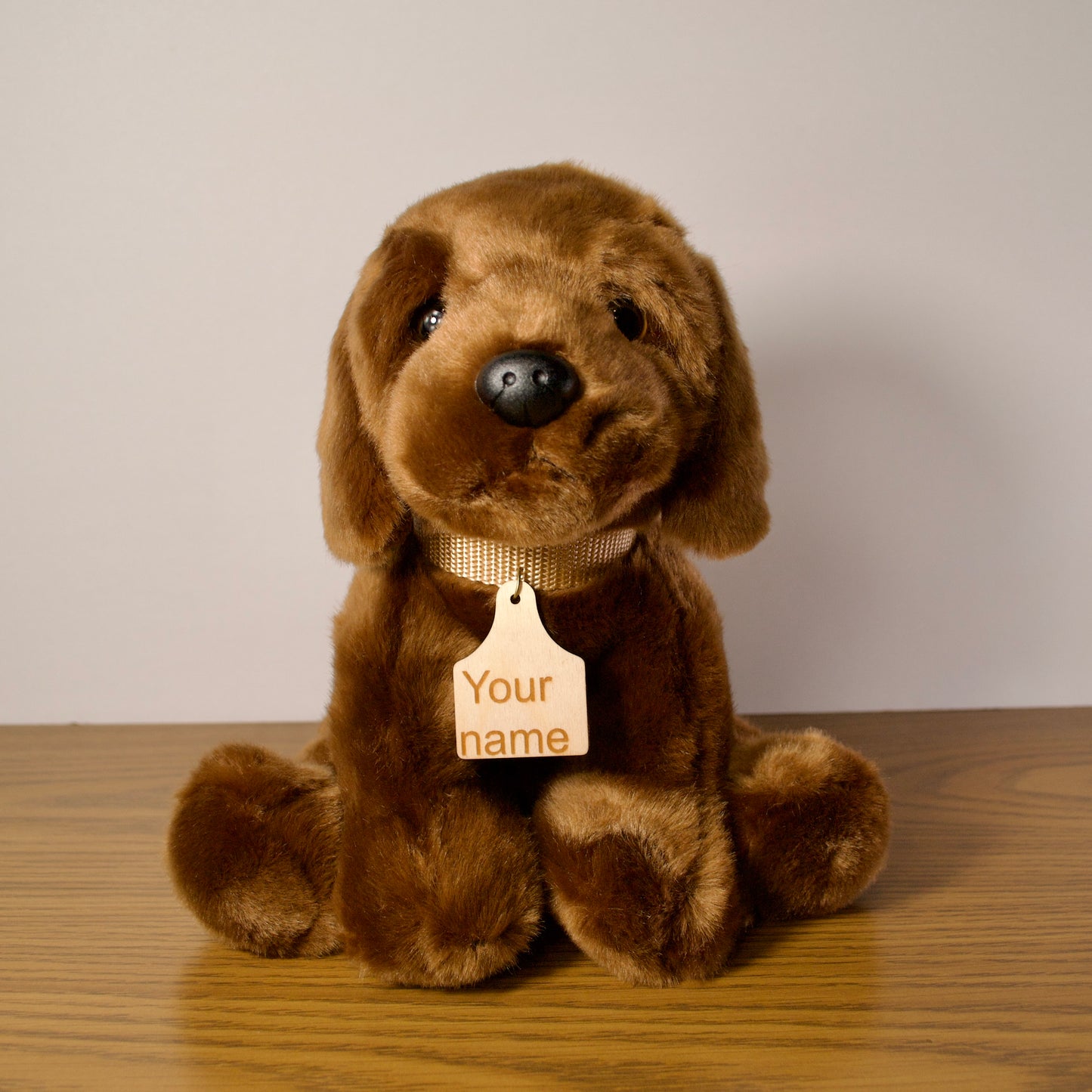 Personalized Chocolate Labrador Dog Plush with Collar