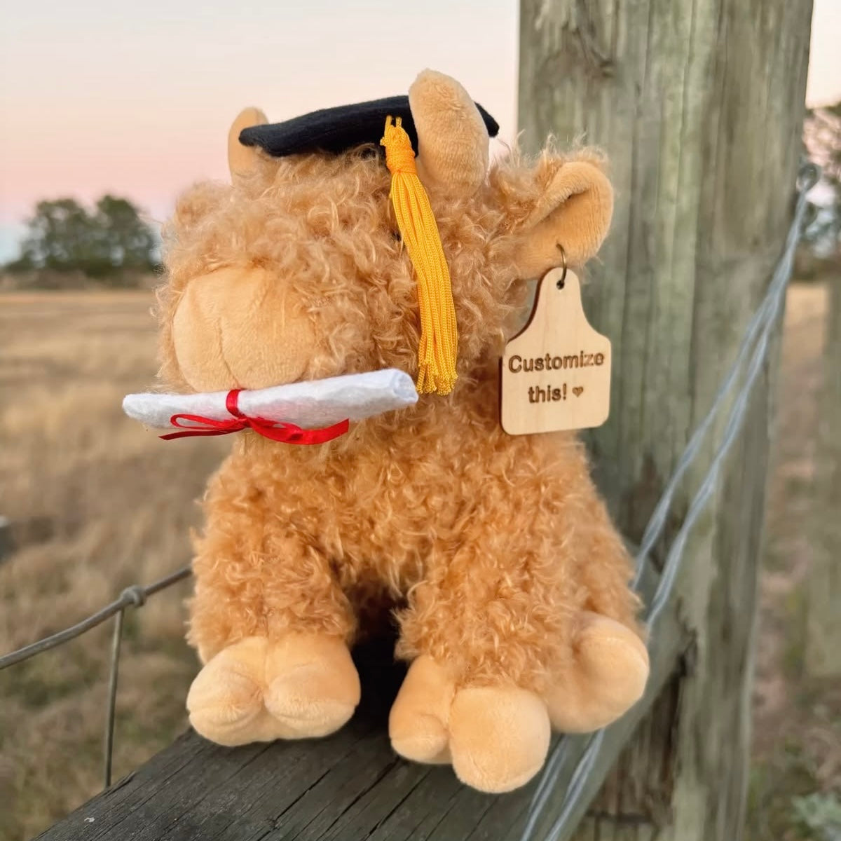 Plush cow toy with graduation cap and diploma, standing on a wooden surface outdoors.