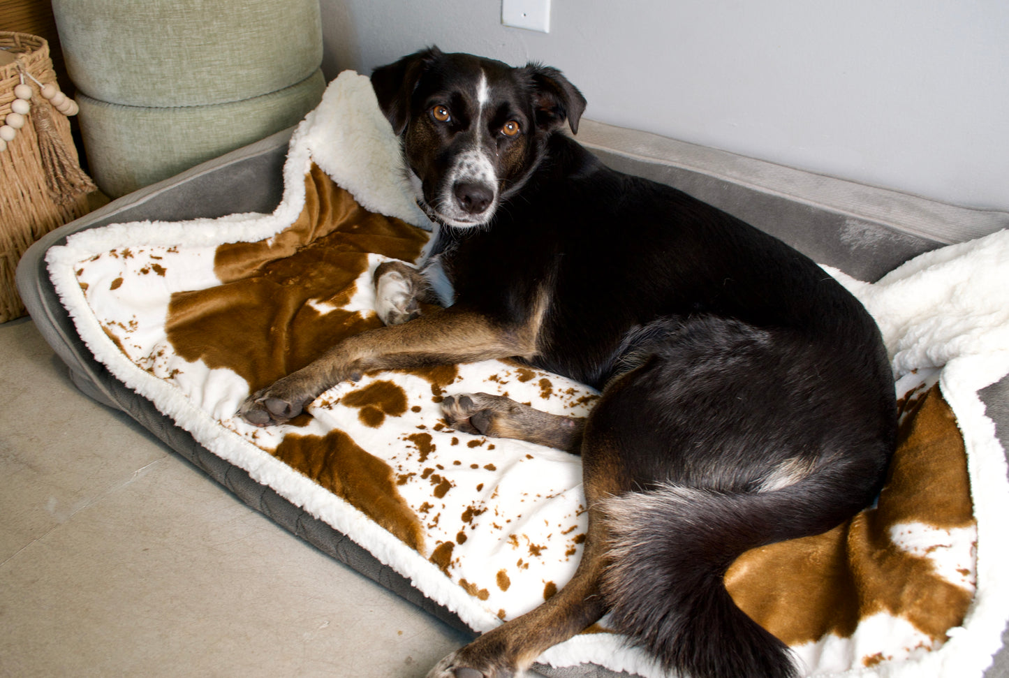 Dog lying on a cushion with a cow print pattern