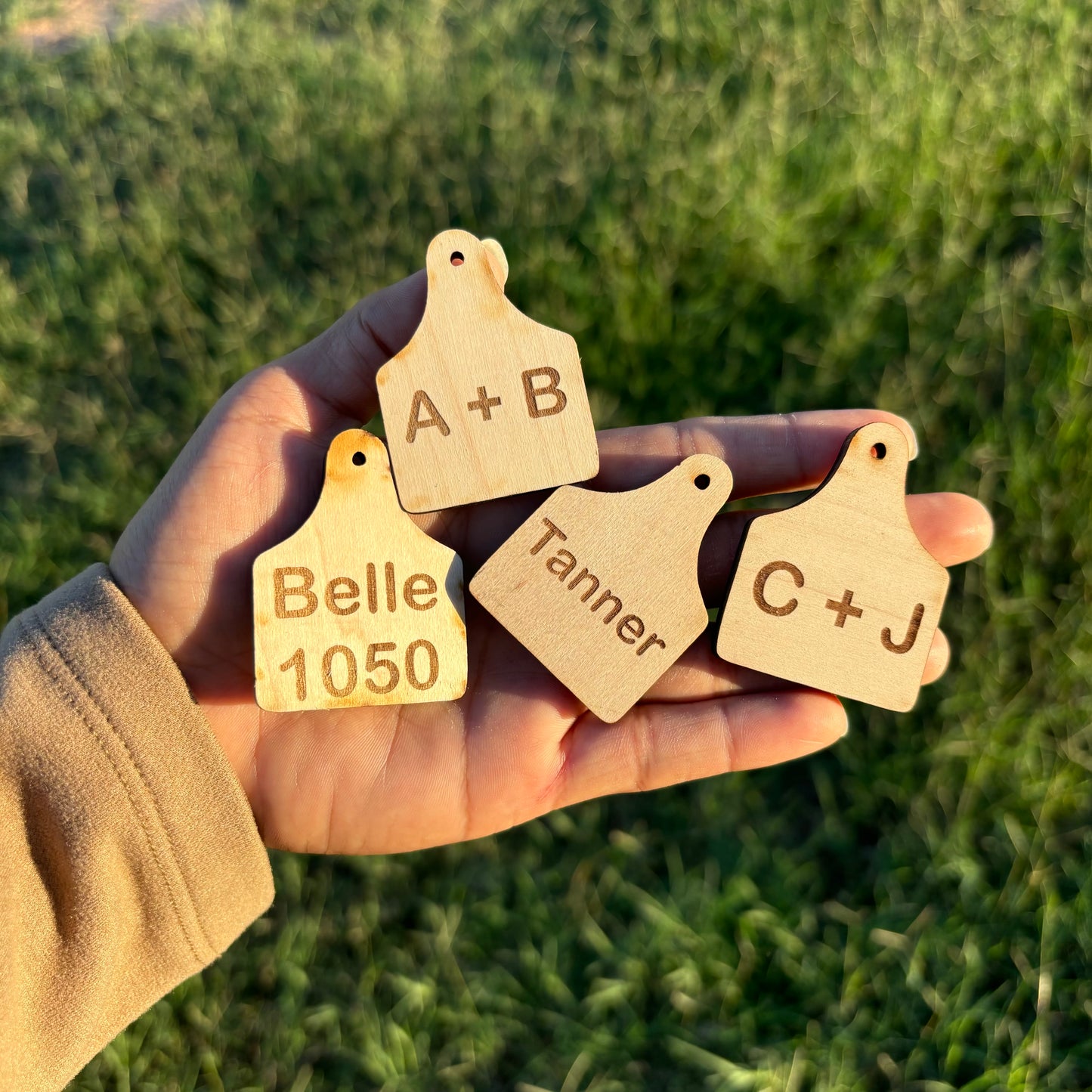 Personalized Longhorn bull with cow tag