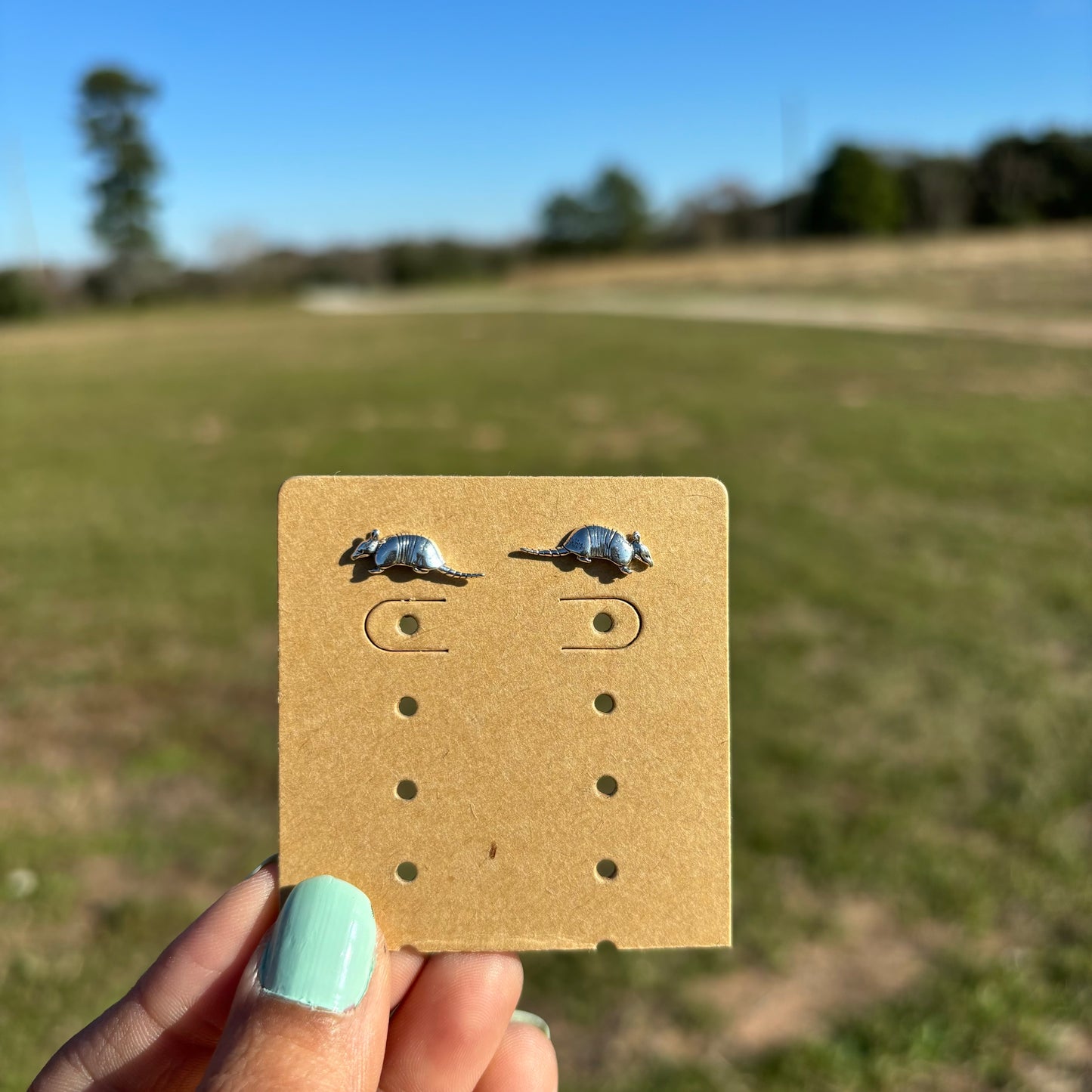 Sterling Silver Armadillo Studs