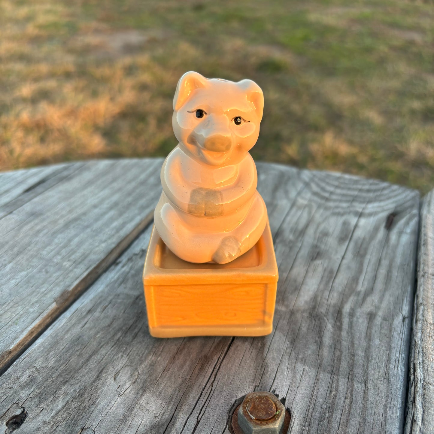 Pig Salt and Pepper Shakers