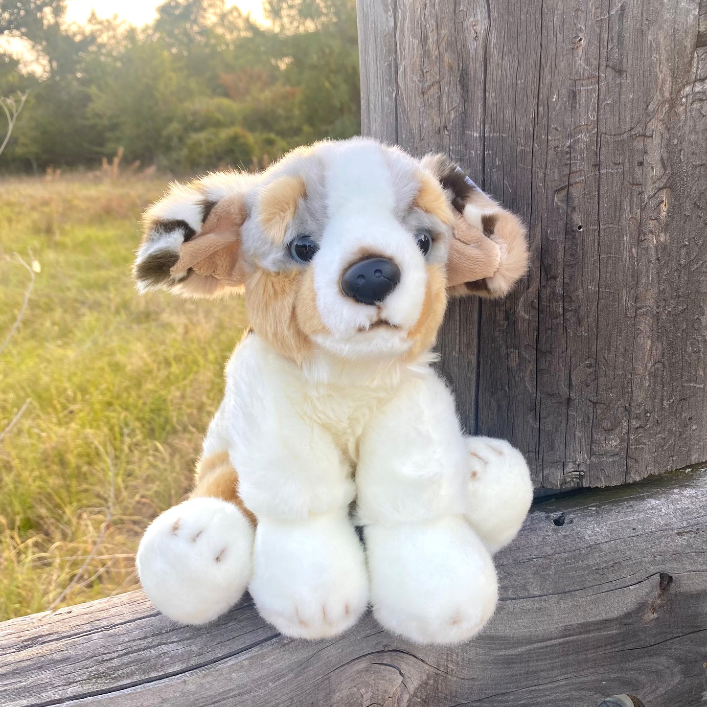 Australian Shepherd Dog Plush