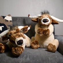 Load image into Gallery viewer, Decorative Longhorn Plush
