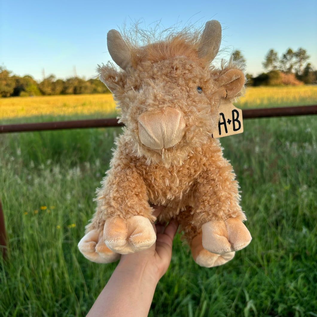 Personalized Brown Curly Highland Cow with Cow Tag
