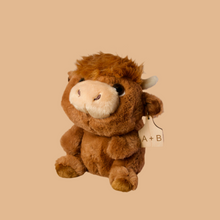 Load image into Gallery viewer, Personalized Chubby Highland Plush
