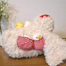 Load image into Gallery viewer, 5 pc Chicken Set Plush
