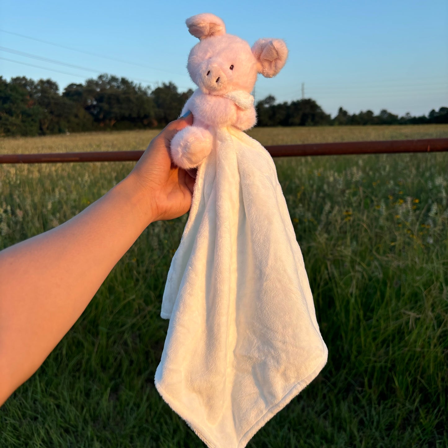 Pig Baby Lovey