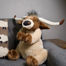 Load image into Gallery viewer, Decorative Longhorn Plush
