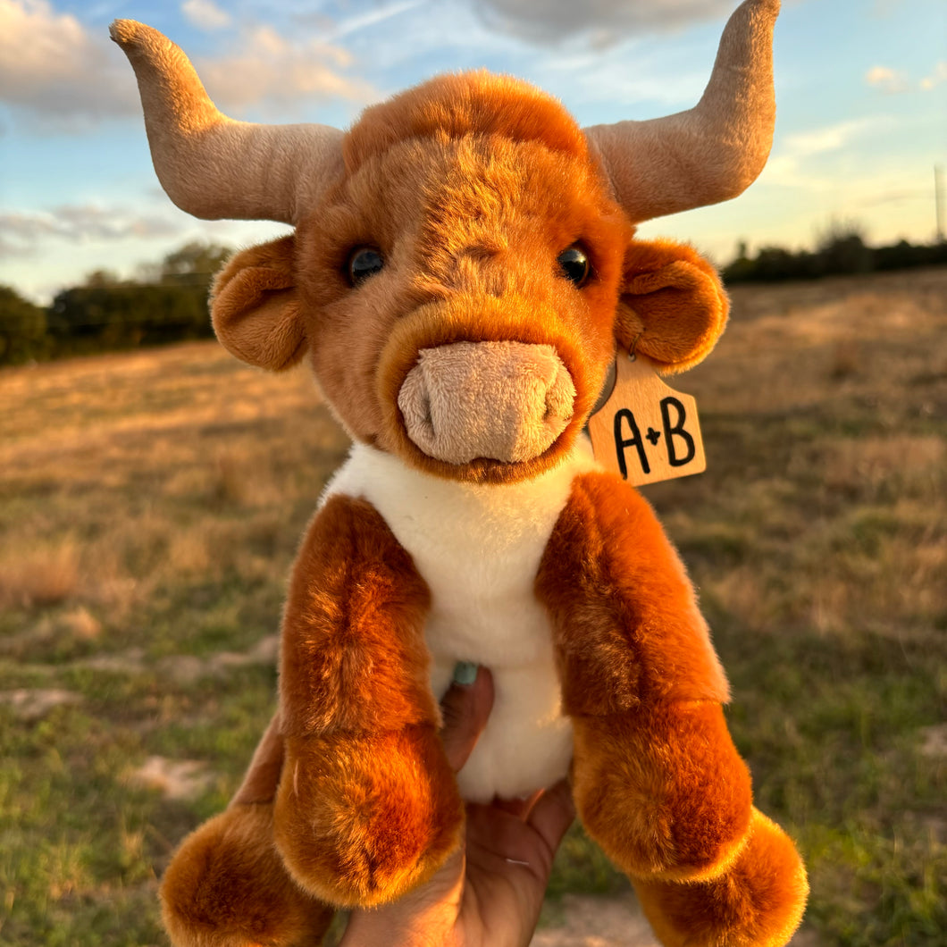 Personalized Longhorn bull with cow tag