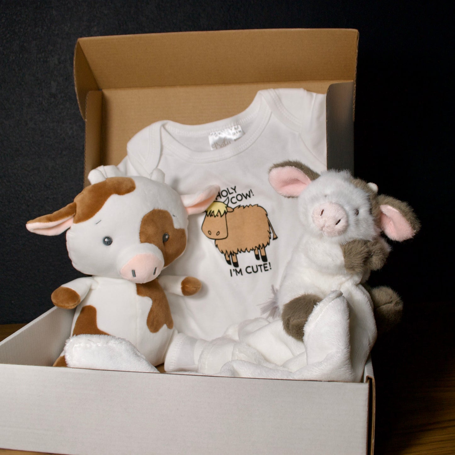 Baby Gift Set