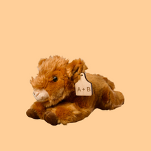 Load image into Gallery viewer, Personalized Highland Calf Plush With Cow Tag
