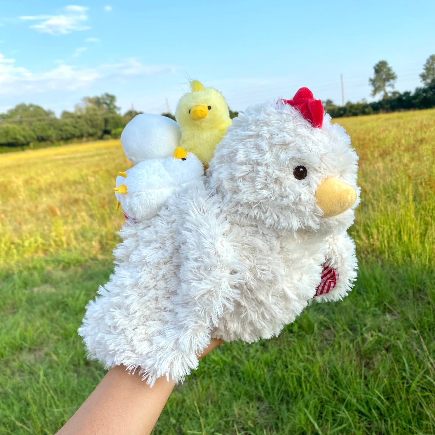5 pc Chicken Set Plush