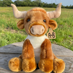Personalized Longhorn bull with cow tag