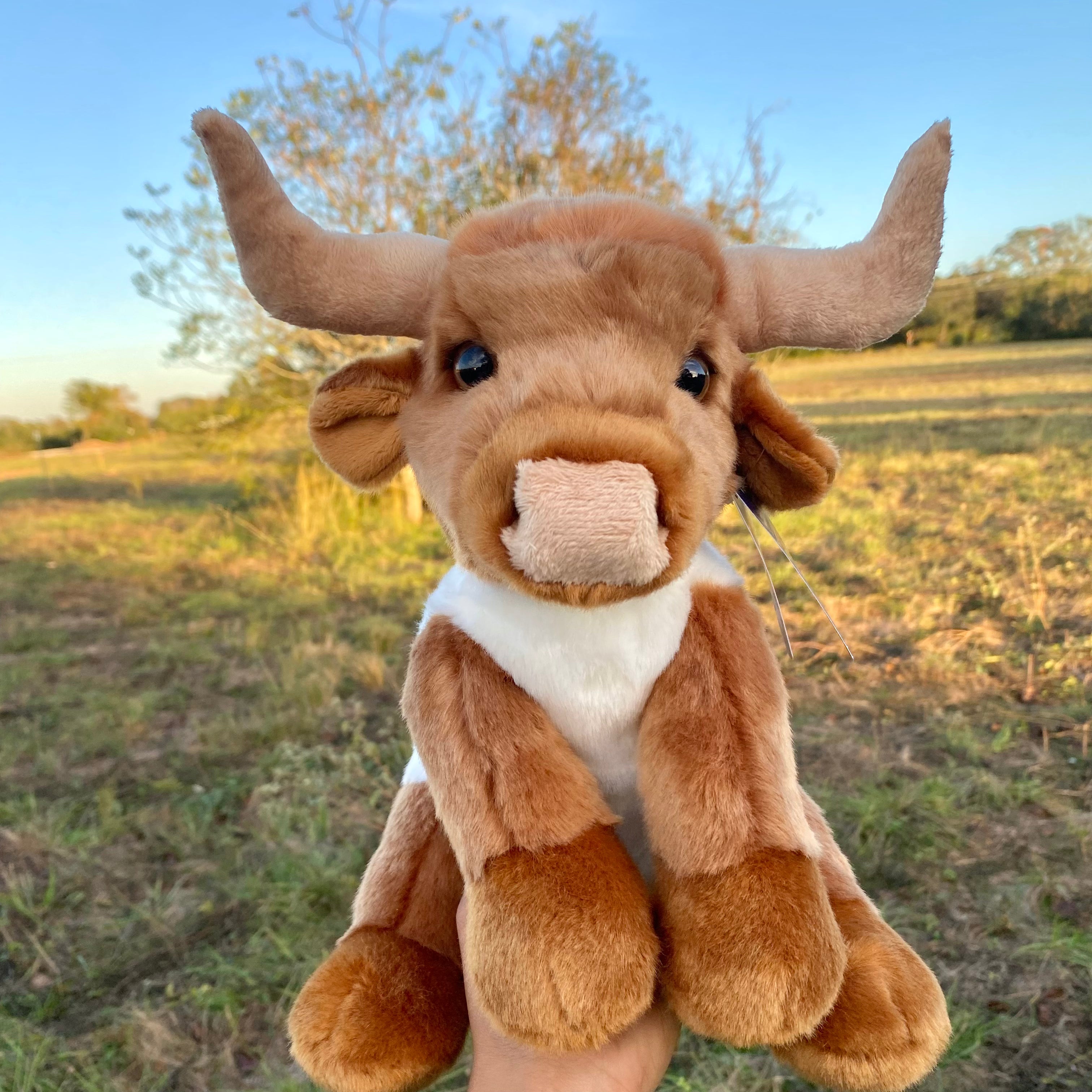 Plush longhorn steer stuffed animal hotsell